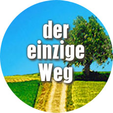 Der einzige Weg