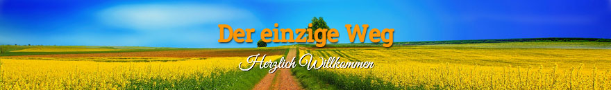 Der einzige Weg