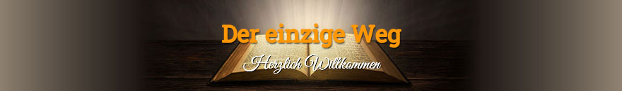 Der einzige Weg
