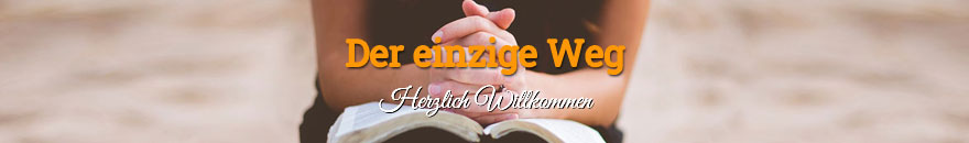 Der einzige Weg
