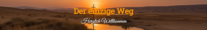 Der einzige Weg