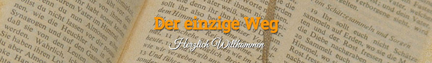 Der einzige Weg