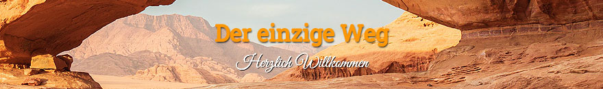 Der einzige Weg