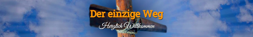 Der einzige Weg