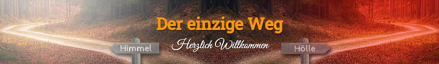 Der einzige Weg