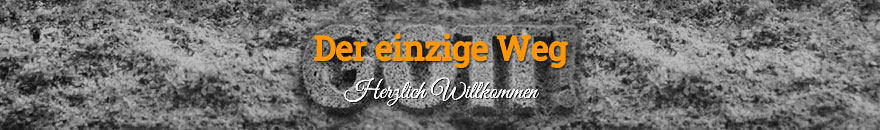 Der einzige Weg