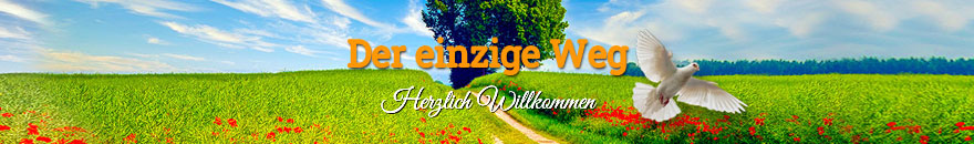 Der einzige Weg