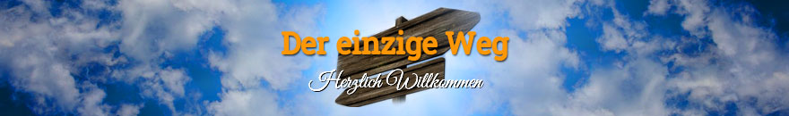 Der einzige Weg
